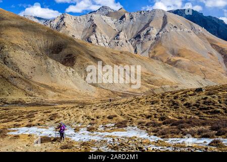 Trekkers dans le paysage de montagne d'Arid sur le trek de Dolpo inférieur dans l'Himalaya népalais, près du vilage de Dho Tarap Banque D'Images