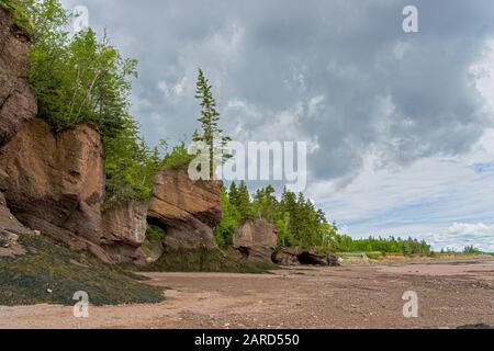 Les rochers de Hopewell, appelés couramment les Rochers De Fleurs, sont des formations rocheuses causées par l'érosion des marées dans Le Sit d'exploration des marées de Hopewell Rocks Banque D'Images