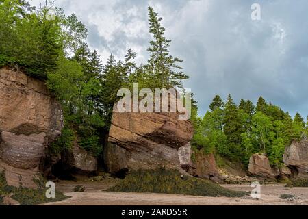 Les rochers de Hopewell, appelés couramment les Rochers De Fleurs, sont des formations rocheuses causées par l'érosion des marées dans Le Sit d'exploration des marées de Hopewell Rocks Banque D'Images