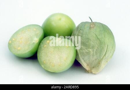FORME ENTIÈRE & DÉMIÉE DU FRUIT TOMATILLO (PHYSALIS IXOCARPA) SUR FOND BLANC. Banque D'Images
