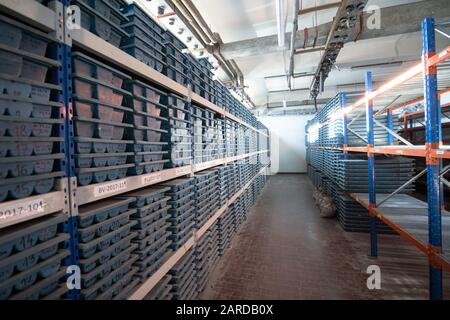 stockage de l'extraction d'or échantillons de roche de noyau géologie forage industy Banque D'Images