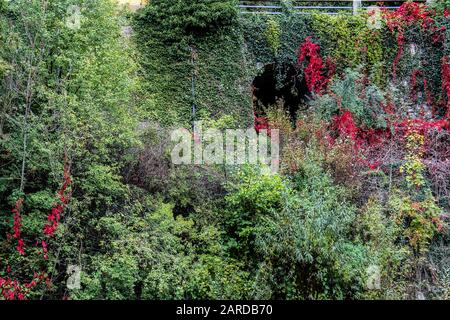 Ancienne entrée d'un tunnel dans un mur de pierre recouvert de plantes de différentes couleurs de chute comme les tons de jaune rouge et de vert Banque D'Images