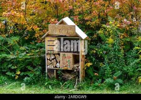 Cônes de pin et équipement en bois avec texte insectes coloré sur la maison en bois contre les arbres verts et les plantes en arrière-plan dans la forêt Banque D'Images