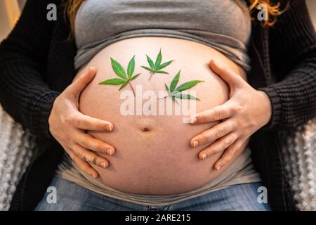 Une femme très enceinte est vue assise de devant, se reposant sur l'estomac avec des feuilles de cannabis, soulagement naturel de la douleur utilisé pour la douleur de naissance Banque D'Images