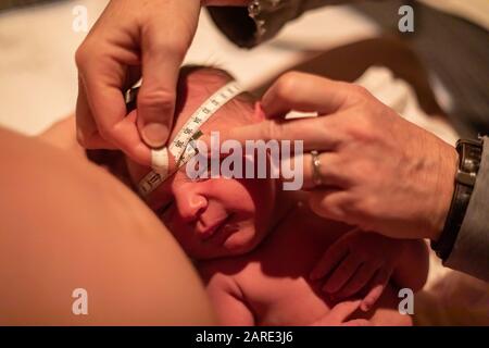 Un gros plan avec une faible profondeur de champ comme infirmière obstétrique de sage-femme utilise un ruban de mesure. Pour vérifier la taille de circonférence de la tête de bébé nouveau-né Banque D'Images