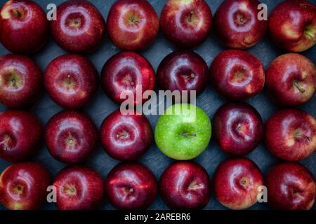 Malus domestica. Pomme verte parmi le motif de pommes rouges Banque D'Images