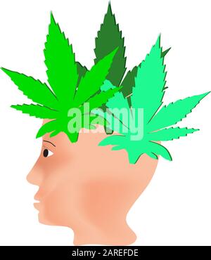 L'effet du chanvre sur l'homme. Traitement des cannabinoïdes. Propriétés du logo de marijuana. Cheveux des feuilles de marijuana sur la tête. Cannabis. Vecteur Illustration de Vecteur