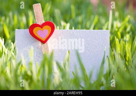 Panneau vide avec coeur sur l'herbe verte en été Banque D'Images