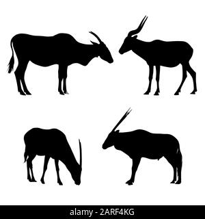 illustration réaliste des silhouettes anilope ou gazelle. Debout et pâturage, isolé sur fond blanc - vecteur Illustration de Vecteur