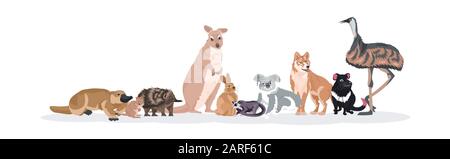dessins animés animaux sauvages en voie de disparition diable tasmanie echidna ostrich platypus koala kangourou lapin loup quokka icônes faune espèces concept plat horizontal illustration vectorielle Illustration de Vecteur