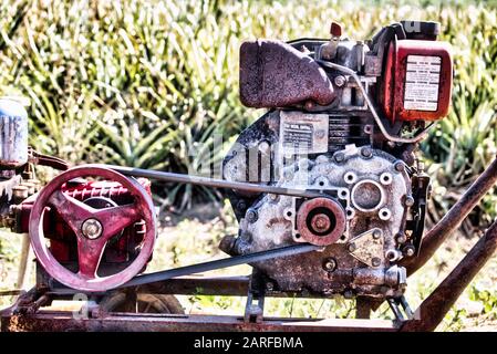 Cette photo unique montre une machine agricole très ancienne, rouge et rouillée, utilisée pour les plantations d'ananas. Vous pouvez voir les détails très bien. Banque D'Images