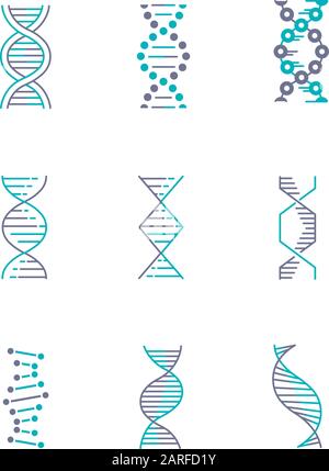 Les icônes de couleur violet et turquoise de l'ADN spirales sont définies. Désoxyribonucléique, hélice d'acide nucléique. Brins de spirales. Chromosome. Biologie moléculaire. Code génétique Illustration de Vecteur