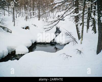 Paysage d'hiver dans la forêt, petit lac, Alpe Devero, Piémont, Italie.