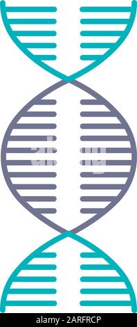 Icône de couleur violet et turquoise en spirale d'ADN. Désoxyribonucléique, hélice d'acide nucléique. Brins de spirales. Chromosome. Biologie moléculaire. Code génétique. Geno Illustration de Vecteur