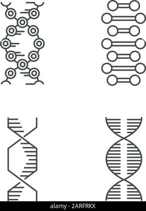 Jeu d'icônes linéaires de chaînes en spirale d'ADN. Désoxyribonucléique, hélice d'acide nucléique. Biologie moléculaire. Code génétique. Génétique. Symboles de contour de ligne mince. Isolat Illustration de Vecteur