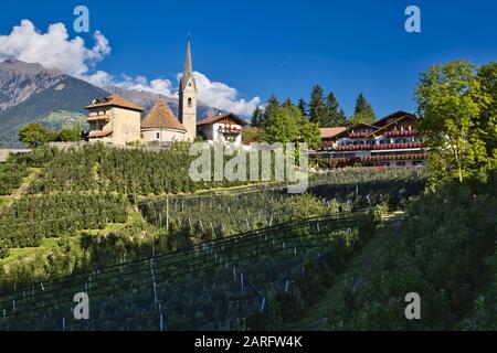 Le petit village de St Georgen ou San Giorgio près de Meran dans le Tyrol du Sud, en Italie, est entouré de vergers de pommes et est noté pour son église ronde. Banque D'Images