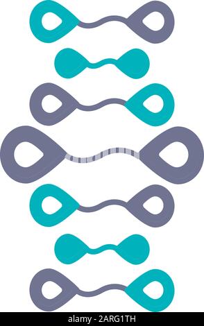Icône de couleur violet et turquoise des brins d'ADN. Désoxyribonucléique, hélice d'acide nucléique. Brins de spirales. Chromosome. Biologie moléculaire. Génie génétique Illustration de Vecteur