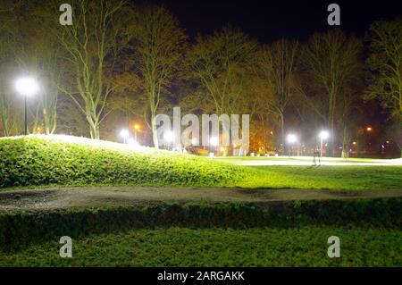 Parc de la ville éclairé la nuit. Lumières artificielles parmi les arbres. Banque D'Images