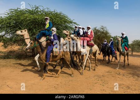 Tuaregs sur leurs chameaux, festival Gerewol, concours rituel de courteship parmi le peuple Wodaabe Fula, Niger, Afrique de l'Ouest, Afrique Banque D'Images