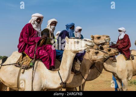 Tuaregs sur les chameaux, le festival Gerewol, la compétition rituelle de courtship entre le peuple Wodaabe Fula, Niger, Afrique de l'Ouest, Afrique Banque D'Images