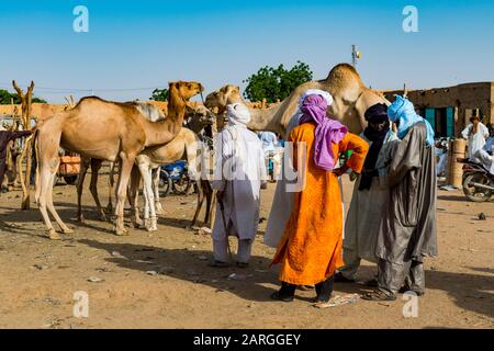 Tuaregs sur le marché des animaux, Agadez, Niger, Afrique de l'Ouest, Afrique Banque D'Images
