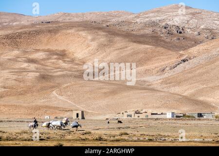 Caravane dans le désert de Bamyan, Afghanistan, Asie Banque D'Images