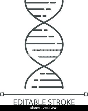 Icône linéaire ADN double hélice. Désoxyribonucléique, structure des acides nucléiques. Biologie moléculaire. Code génétique. Illustration de la ligne fine. Symbole de contour. Vecto Illustration de Vecteur