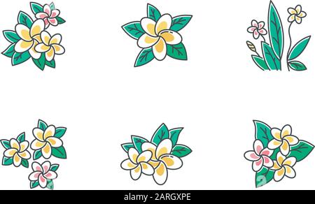 Ensemble d'icônes de couleur Plumeria. Fleurs exotiques de la région. La flore des îles indonésiennes. Petites plantes tropicales. Fleurs de frangipani avec feuilles. Nature de Bali Illustration de Vecteur