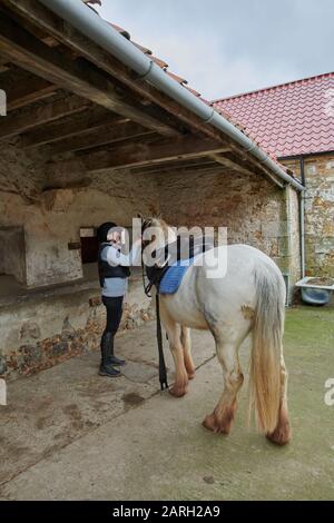Une jeune femme qui tape son cheval dans une cour stable prête pour l'équitation. Ecosse, Royaume-Uni, GB. Banque D'Images