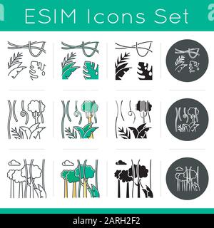 Ensemble d'icônes de plantes de la forêt tropicale. Vignes de forêt Evergreen. Usine de fromage suisse. Voyage dans la jungle indonésienne. Bali nature. La flore tropicale. Linéaire, noir, craie Illustration de Vecteur