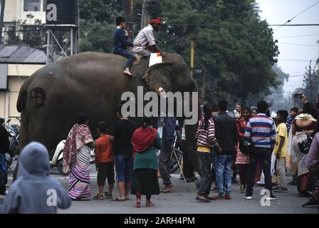 Guwahati, Assam, Inde. 28 janvier 2020. Les dévotés prennent la bénédiction d'un éléphant pendant Ganesh Jayanti, à Guwahati. Crédit: David Talukdar/Zuma Wire/Alay Live News Banque D'Images