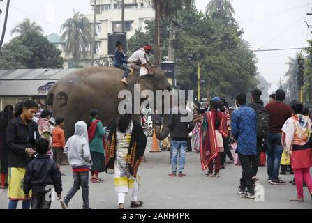 Guwahati, Assam, Inde. 28 janvier 2020. Les dévotés prennent la bénédiction d'un éléphant pendant Ganesh Jayanti, à Guwahati. Crédit: David Talukdar/Zuma Wire/Alay Live News Banque D'Images