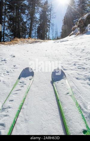 Ski tourer en montant une route enneigée à travers la forêt. Banque D'Images