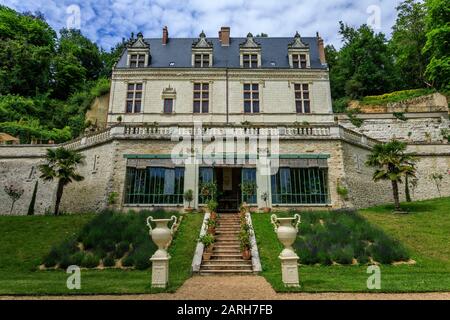 France, Indre et Loire, Vallée de la Loire classée au patrimoine mondial par l'UNESCO, Amboise, Château-Gaillard domaine royal et jardins, château et orang Banque D'Images