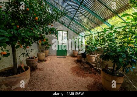 France, Indre et Loire, Vallée de la Loire classée au patrimoine mondial par l'UNESCO, Amboise, Château-Gaillard domaine royal et jardins, intérieur de la région Banque D'Images