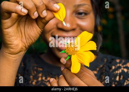 une fille noire tenant un arbre marigold tournesol prendre les pétales un par un, gros plan Banque D'Images