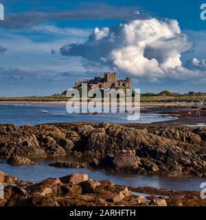 Vue en été sur la plage de Bamburgh en direction du château de Bamburgh, Northumberland, Angleterre, Royaume-Uni Banque D'Images