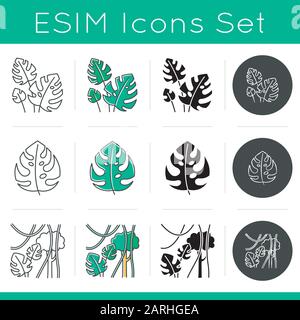 Ensemble d'icônes de plantes de la forêt tropicale. Vignes de forêt Evergreen. Usine de fromage suisse. Jungle indonésienne. Explorez la nature de Bali. La flore tropicale. Linéaire, noir, craie Illustration de Vecteur