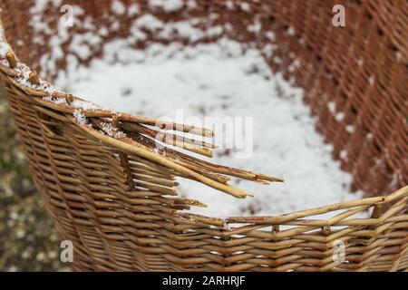 Vieille neige endommagé panier en osier pour bébé sur roues sur le jardin en hiver. Banque D'Images