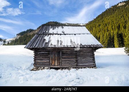Petite ancienne cabine en bois dans les montagnes en hiver. Banque D'Images