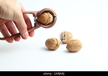 Nutcracker tenu à la main masculine et craquer une noix isolée sur un fond blanc. Banque D'Images