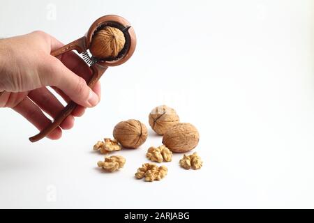 Nutcracker tenu à la main masculine et craquer une noix isolée sur un fond blanc. Banque D'Images