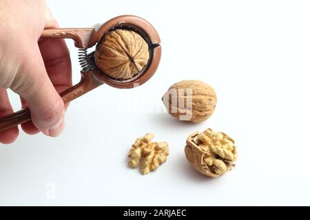 Nutcracker tenu à la main masculine et craquer une noix isolée sur un fond blanc. Banque D'Images