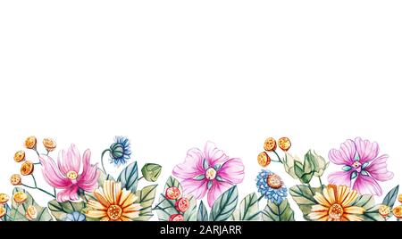 Motif horizontal transparent de fleurs sauvages. Bordure en aquarelle avec daisies, tansy, cornflowers, camomille et mapermettre. Modèle pour texte, carte de vœux Banque D'Images