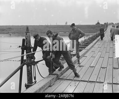 Wijchen. Construction de ponts militaires sur bras du Maas Date : 14 octobre 1953 lieu : Gueldre, Wijchen mots clés : industrie de la construction, ponts Banque D'Images