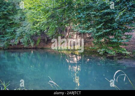 Ferme de poissons de truite sur le lac dans les montagnes, Ukraine Banque D'Images