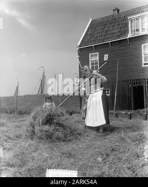 Hay Time On Island Marken Date : 12 Juin 1953 Lieu : Marken Banque D'Images