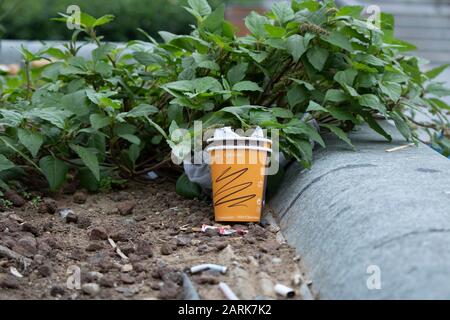 Les variétés de café sont écrites sur des tasses à café en papier. Il cause la pollution de l'environnement. Banque D'Images