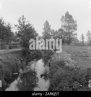 Train lunting/barneveld Date: Non daté mots-clés: Ruisseaux, arbres, plongeurs et jardinage, fossés de creusement et d'amortissement, cousus de ponte, normalisation des cours d'eau Banque D'Images