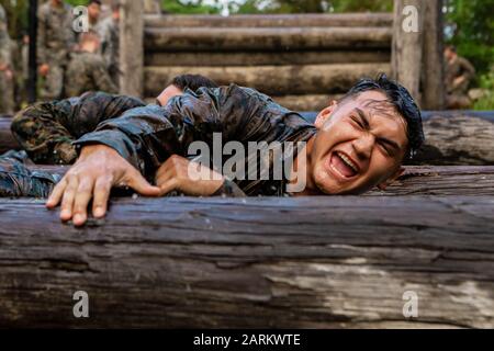 Un Marine américaine avec combat Logistics Bataillon 2, combat Logistics Regiment 2, 2ème Marine Logistics Group, monte sur un obstacle lors d'un cours d'endurance à l'école d'entraînement des compétences de combat à Camp Lejeune, Caroline du Nord, 3 juillet 2019. Martins a participé au cours pour construire le travail d'équipe et le leadership de petite unité pour les exercices à venir. (ÉTATS-UNIS Photo du corps marin par lance Cpl. Scott Jenkins) Banque D'Images